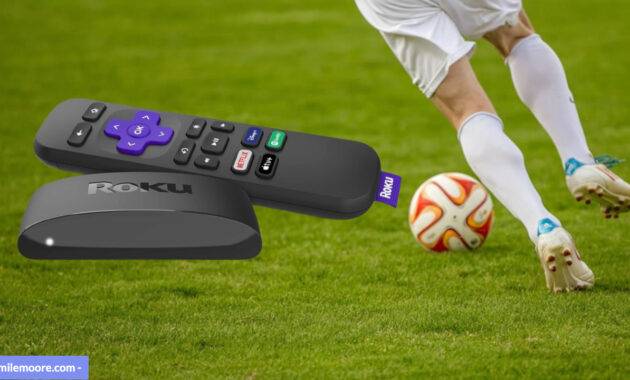 IPTV auf Roku installieren